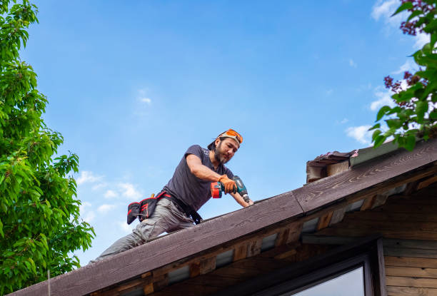 Asphalt Shingles Roofing in Arapahoe, NE